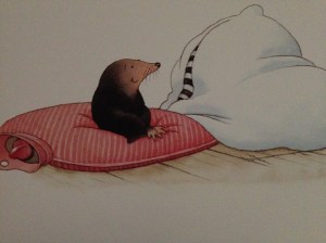 One Snowy Night by Nick Butterworth SnowyNightBlog3Mole