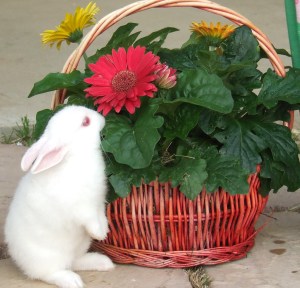 2011.April24.Easter 008