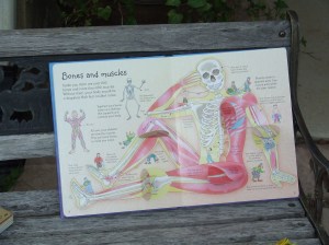 2014.May 11.Usborne Books.PrunningGarden 016